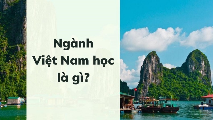 Việt Nam Học là gì?
