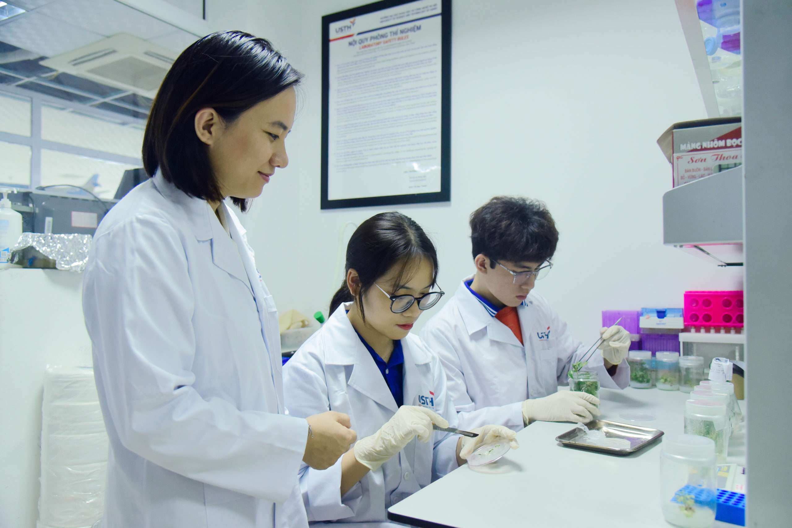 Bệnh viện Đại học Y Hà Nội có lịch sử lâu dài, chuyên môn cao, cung cấp các dịch vụ y tế và có đội ngũ bác sĩ chất lượng.
