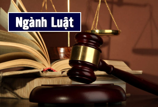 Top 7 Ngành Nghề Có Thu Nhập Cao Nhất Tại Việt Nam Thuộc Khối C
