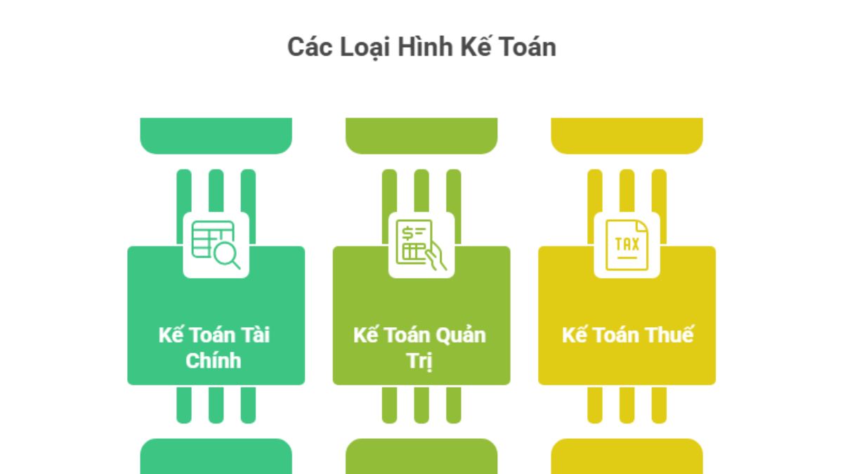 nganh-ke-toan-cac-loai-hinh