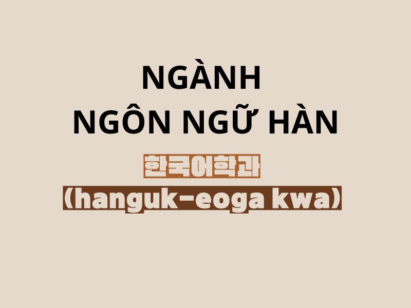 tong-quan-nganh-ngon-ngu-han